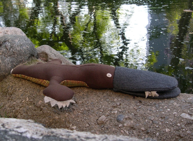 Игрушечный утконос. Фото / Platypus toy. Photo
