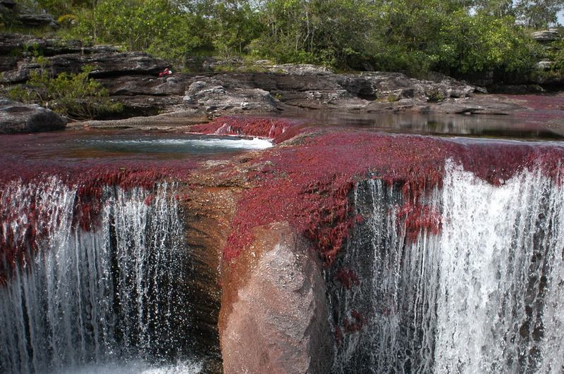 Водопад на реке Каньо Кристалес в Колумбии. Фото