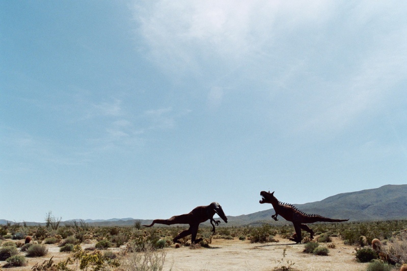 Встреча двух динозавров в пустыне Анза Боррего. Фото