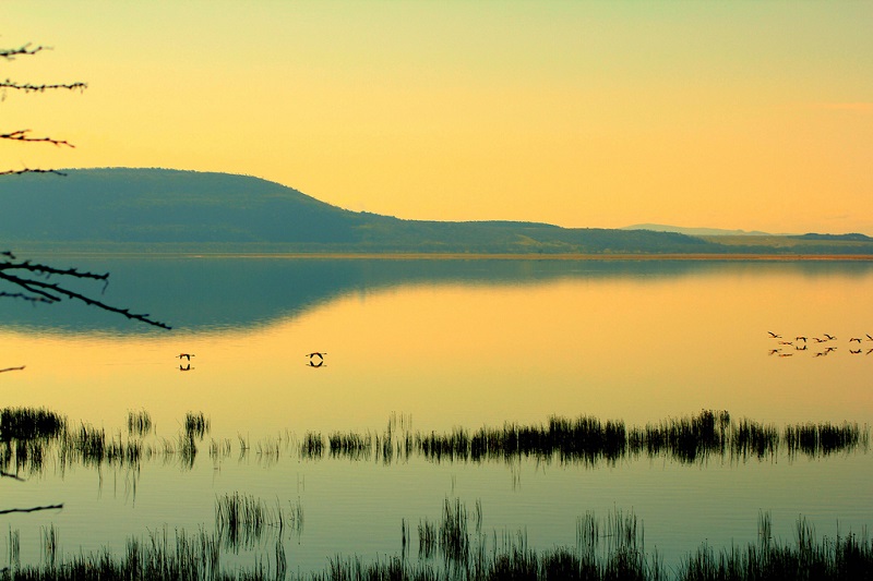 Национальный парк Озеро Накуру в Кении. Рассвет. Фото