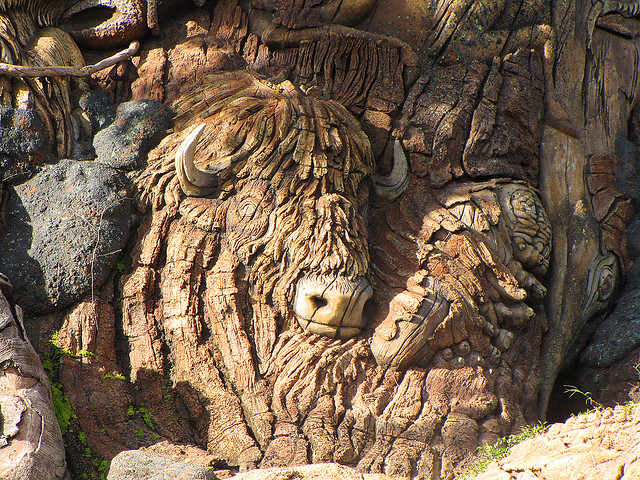 Бизон на Дереве Жизни в Диснейленде. Фото