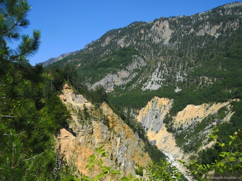 Девственный лес Црна Пода в парке Дурмитор. Черногория. Фото