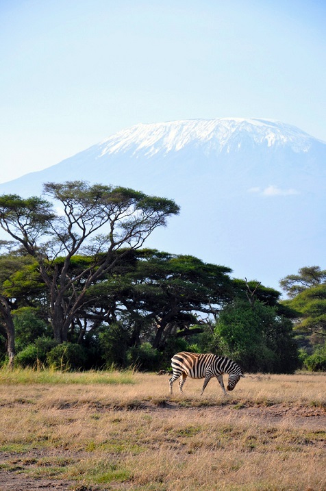 Гора Килиманджаро в тумане. Танзания. Африка. Фото