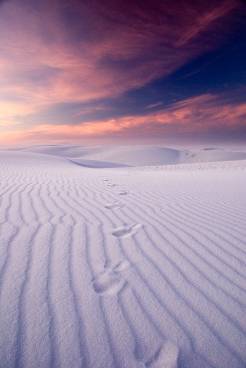 Пустыня Белых Песков в Нью-Мексико. Фото