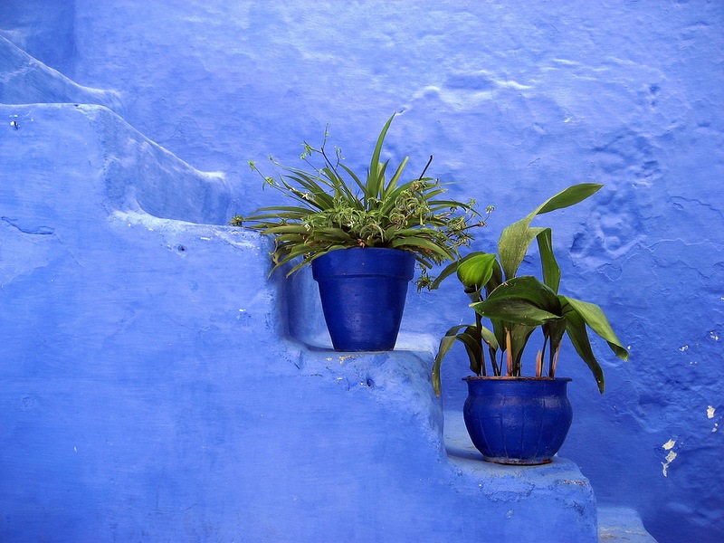 Шефшауэн – синий город в Марокко. Фото