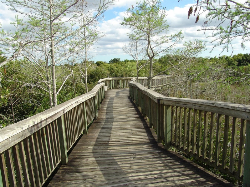 туристическая тропа в национальном парке Эверглейдс (Флорида, США). Фото