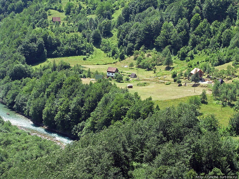 Река Тара в парке Дурмитор. Черногория. Фото