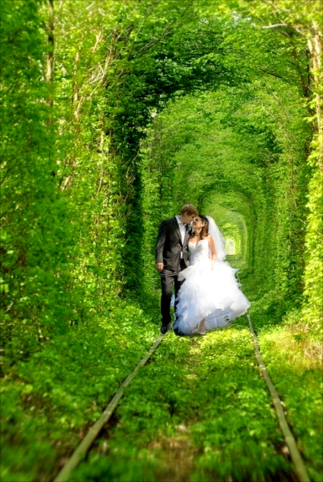 Свадебное фото в Тоннеле любви. Клевань, Украина. Фото