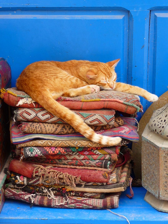 Искусство ковроткачества в Марокко. Фото