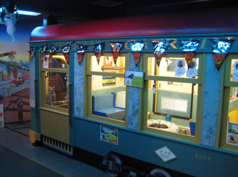 Кошачий поезд в Некобукуро. Фото