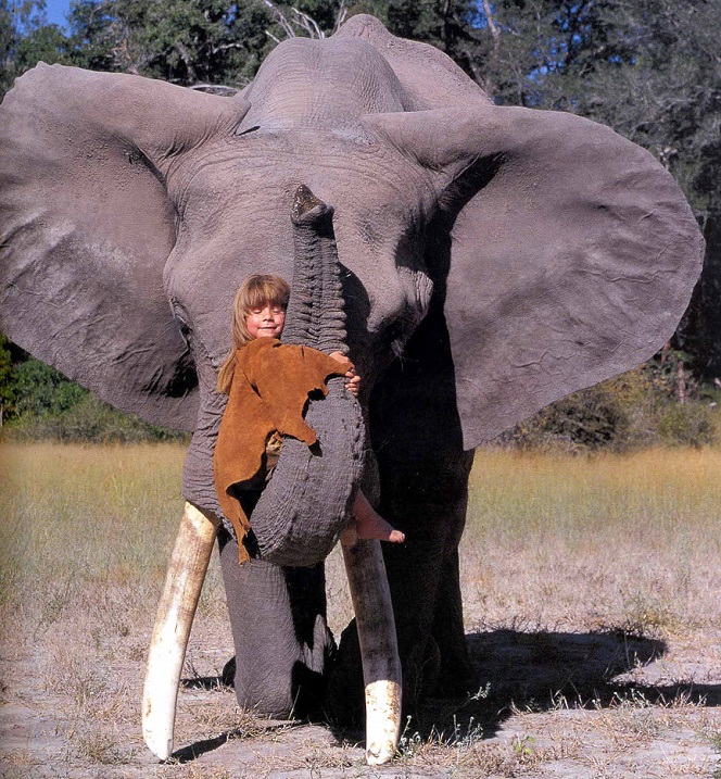Типпи Дегре на хоботе слона. Девочка-Маугли в Африке. Фото