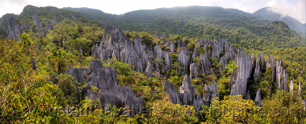 Необычные островехие скалы в парке Гунунг Мулу. Борнео. Фото