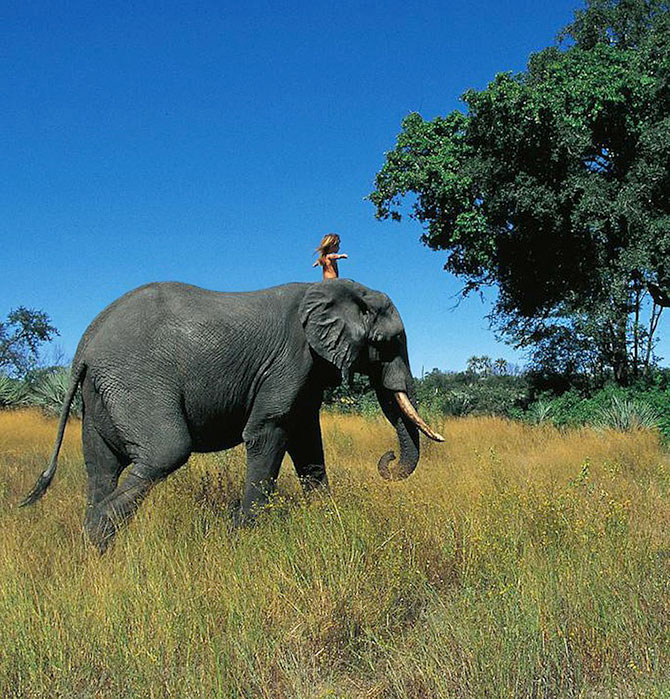 Типпи Дегре на слоне. Девочка-Маугли в Африке. Фото