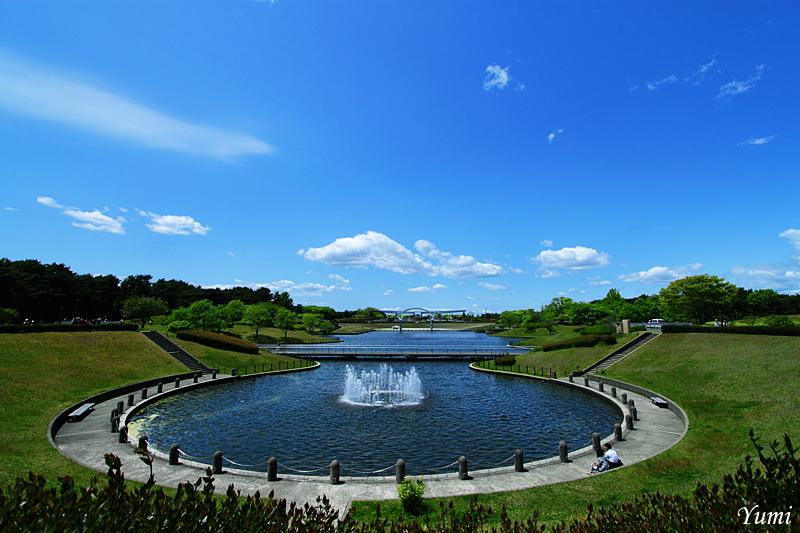 Японский парк Хитачи. Фото