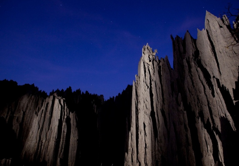 Звездное небо над скалами каменного леса. Мадагаскар. Фото