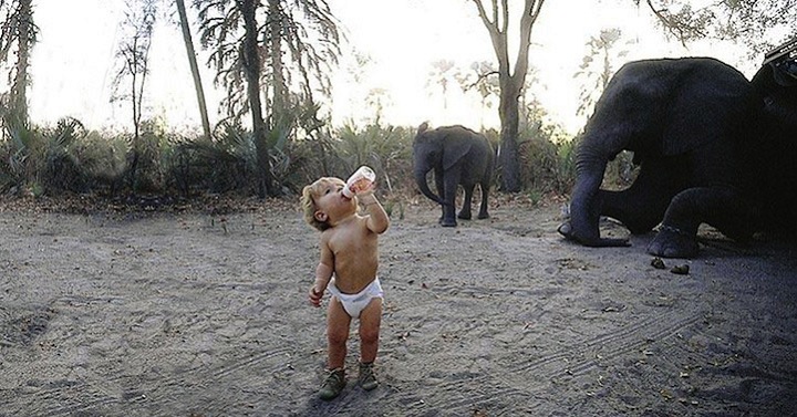 Типпи Дегре и слоны. Девочка-Маугли в Африке. Фото