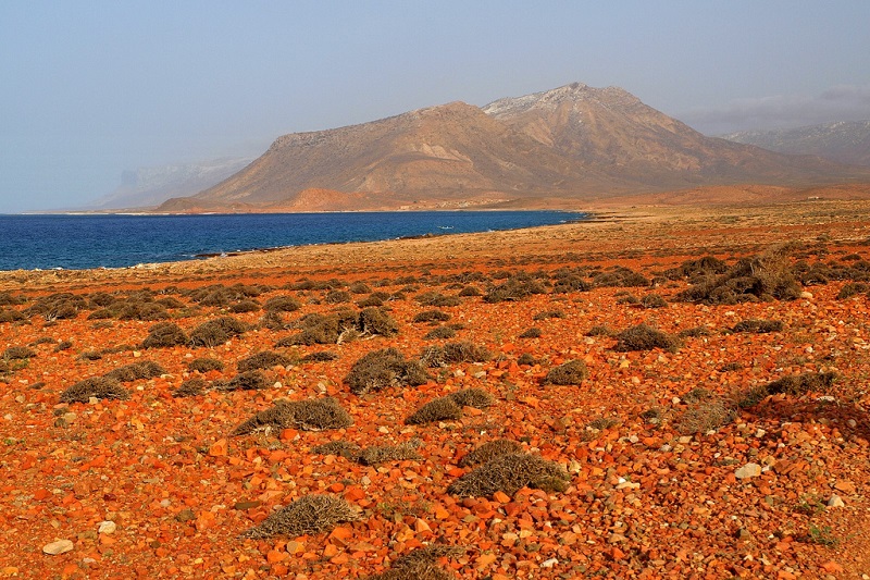 Удивительный архипелаг Сокотра. Йемен. Фото