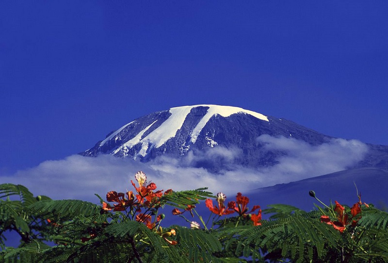 Гора Килиманджаро. Африка. Фото