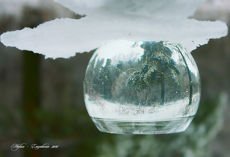 Отражение в бокале с водой. Фото зимы