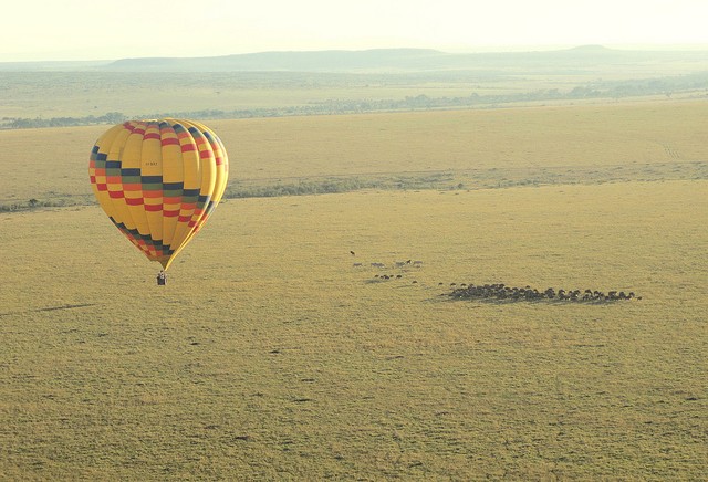 top10-safari-zapovednik-masai-mara-1