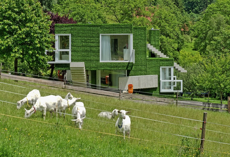 Зеленый дом в Австрии, покрытый травой. Фото