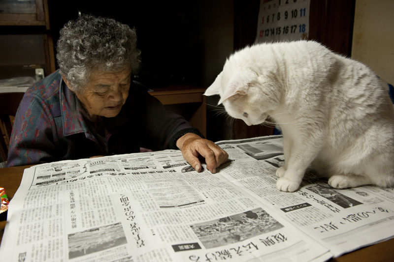 Трогательная дружба бабушки и кошки. Япония. Фото
