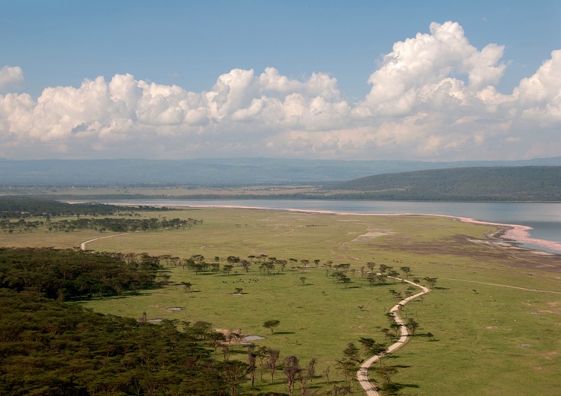 Национальный парк Озеро Накуру в Кении. Фото