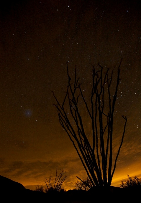 Окотийо. Ночная пустыня Анза Боррего. Фото