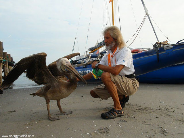 Путешественник гладит пеликана. Фото