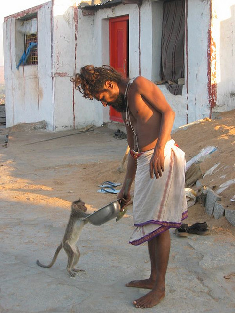 садху-индус и обезьянка. Фото / Sadhu. Photo