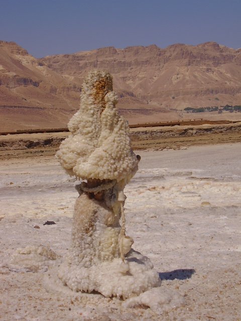 Соляной столб Мертвого моря. Израиль. Фото