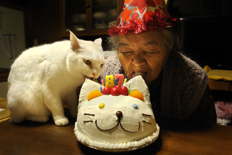 Трогательная дружба бабушки и кошки. Япония. Фото