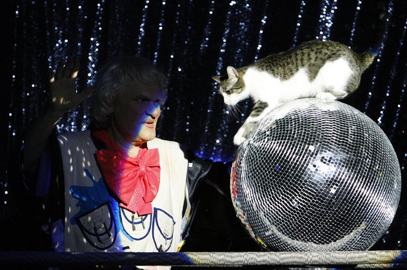 Театр кошек Юрия Куклачева. Во время представления. Фото
