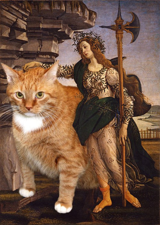 Афина Паллада и кот