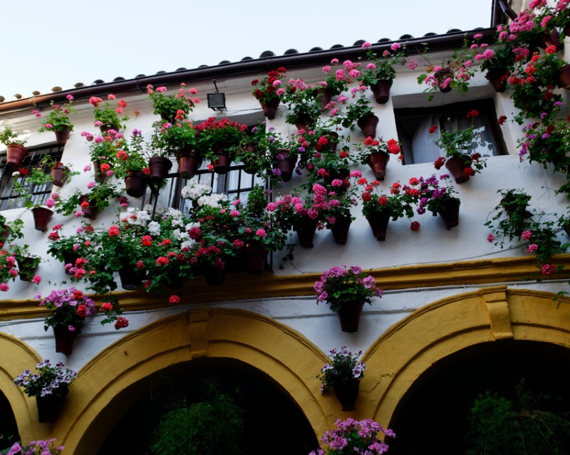 Прекрасный фестиваль цветов в испанских патио. Город Кордова. Фото