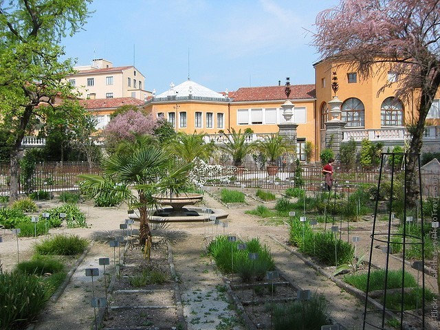 Ботанический сад в Падуе 01