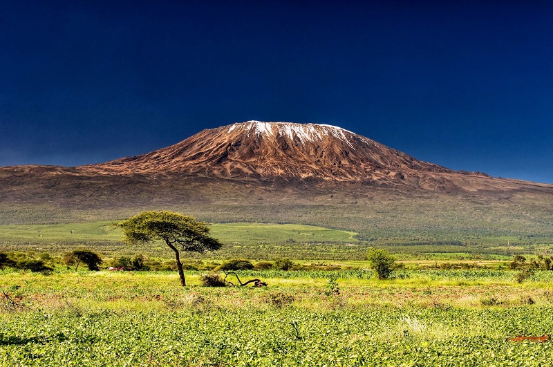 Вулкан Килиманджаро. Танзания. Африка. Фото