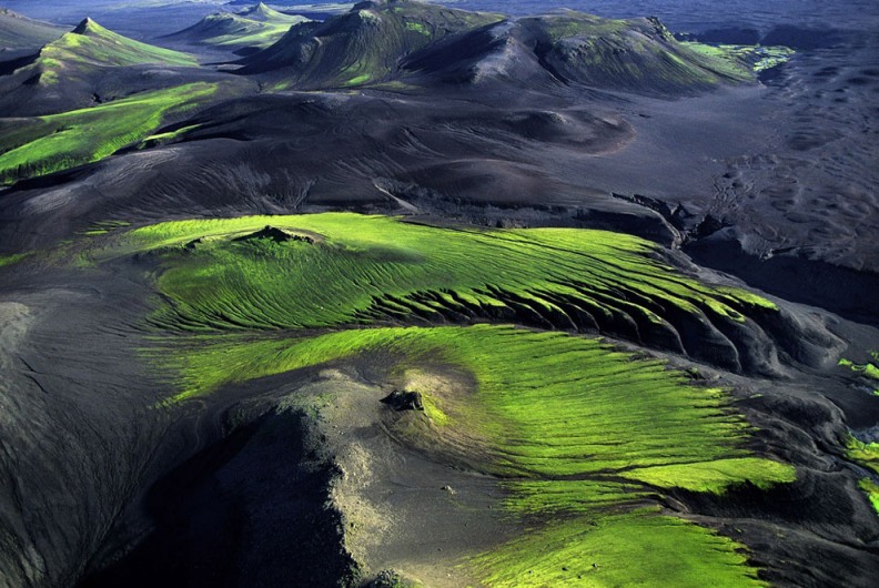 Лавовые поля Исландии. Фото