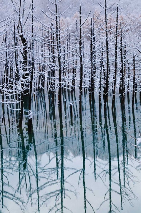 Голубой пруд Биэй в Японии зимой. Красивое фото