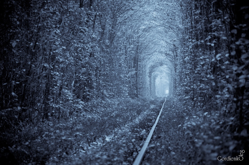 Тоннель любви зимой в городе Клевань, Украина. Фото
