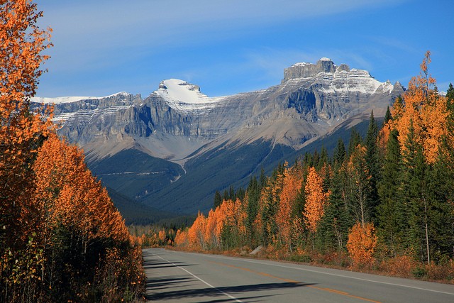 icefields-parkway-18