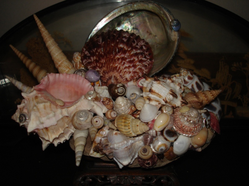 Поделка из морских ракушек. Фото