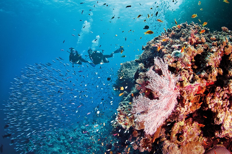 Большой Барьерный риф. Австралия. Красивые фото