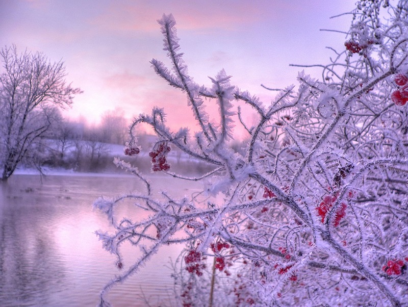 Красивые зимние фото. Природа покрытая инеем