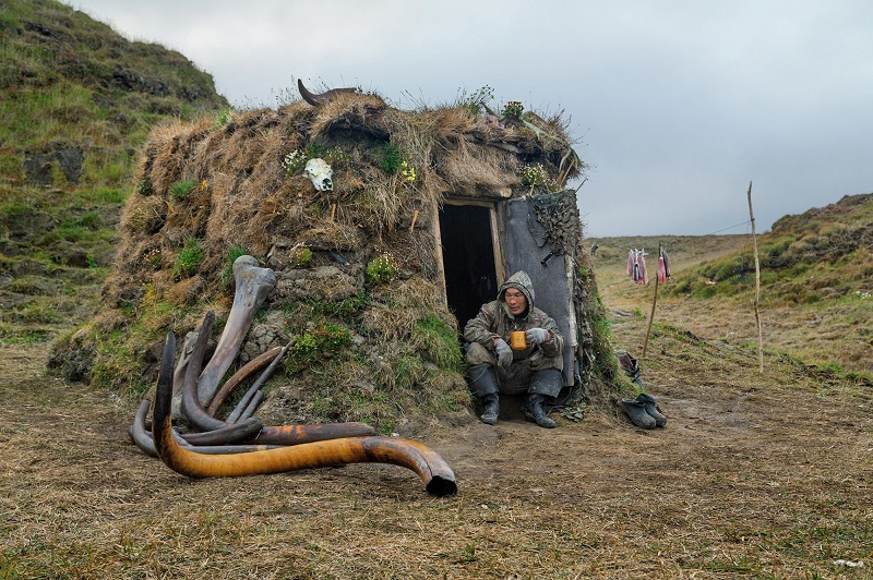 Добыча бивней мамонта в Сибири. Фото