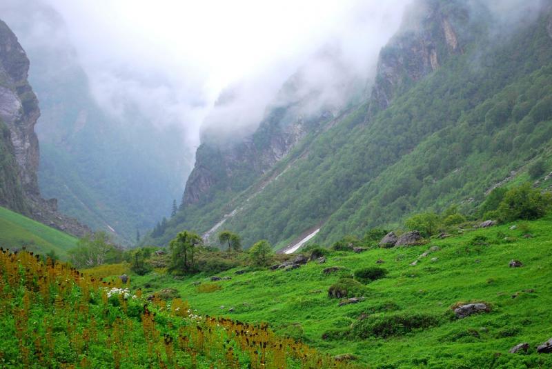 Долина Цветов в Гималаях. Фото