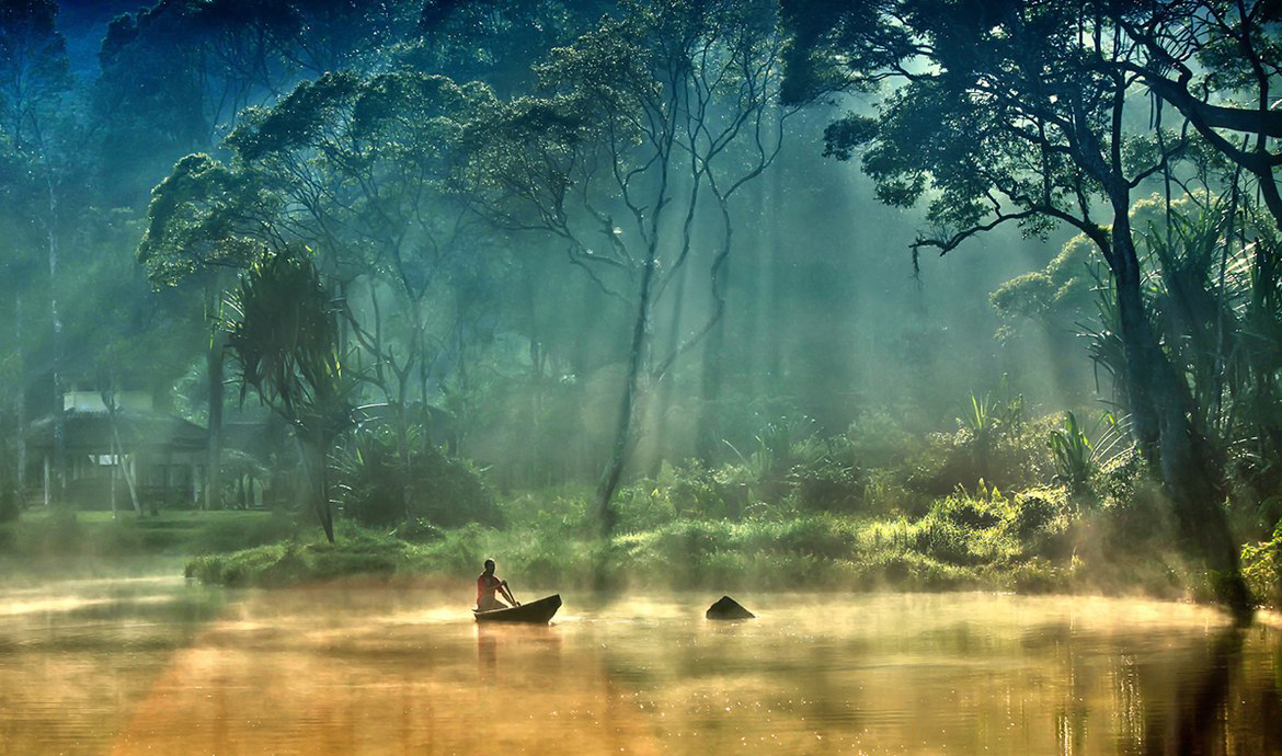 Природа Амазонки