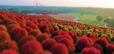 Парк Хитачи в Японии