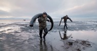 Добыча бивней мамонта в Сибири (16 фото)