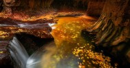 Сионский национальный парк (Зайон) в США